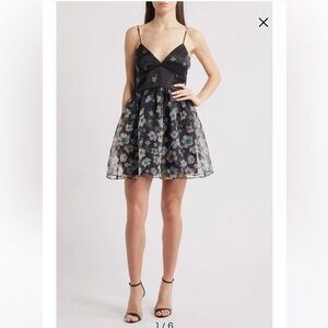 NWT Lulus Isabel Floral Print Organza Minidress